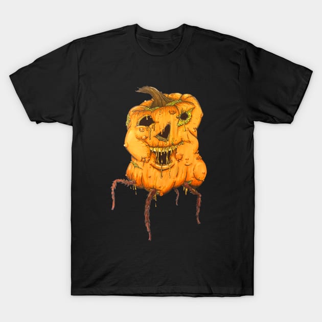 The Rotting Gourd T-Shirt by Mattfields